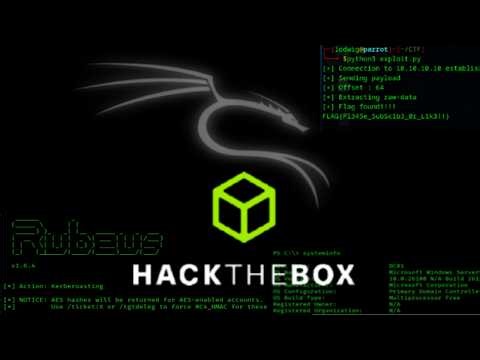 Belajar jadi etichal hacker di #hackthebox - Easy Machine