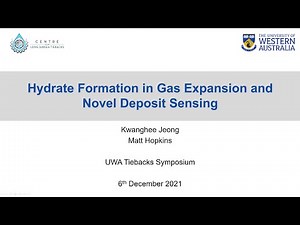 Hydrate Formation in Gas Expansion