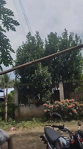 No turning back | May May