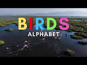 ABC Birds for Kids | Names of Birds for Children | Learn Alphabet with Birds from Around the World