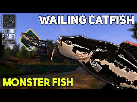 MONSTER FISH WAILING CATFISH MARRON RIVER - FISHING PLANET