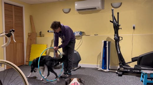 Trying to find some low impact things to do with the boys while they recover. Thought I’d start with something easy like walking thru a hula hoop. Of course Artie has to make it his own 🤦🏼😆😂 | Leanne Lomond