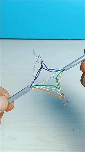 LAN Cable Short? 😱 1 Connector से Internet Extend | #shorts