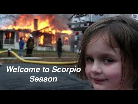 Scorpio Memes - Funny Scorpio Meme Compilation