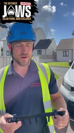 Pigeons Can't Get Back In: Defender Jaws® Installer Testimonial