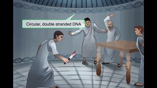 JC polyomavirus, BK polyomavirus (Polyomaviridae) - Free Sketchy Medical Lesson