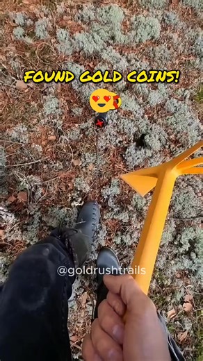 Metal Detecting Adventure: Discovering Gold Coins on Florida Beach