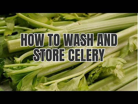 How To Keep Celery Fresh For Weeks!