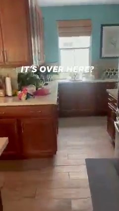 Anyone Know what is Wrong with my Pipes! Why is my drain making that noise!