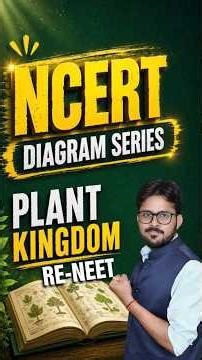 🌿 Plant Kingdom in One Shot | NCERT Diagram Series 🔥 | RE-NEET Biology Revision #reneet2026 #neet