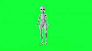 alien walks. realistic 4k green screen animation.