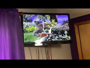 Opening to Caillou Caillou’s Outdoor Adventures 2003 VHS