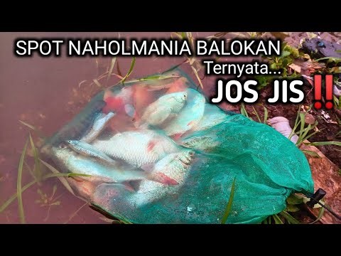 NYOBAIN SPOT NAHOLMANIA di BALOKAN LAHOR‼️TERNYATA MANCING BADER DI SINI JOS JIS DAPAT 1/2 KARAMBA‼️