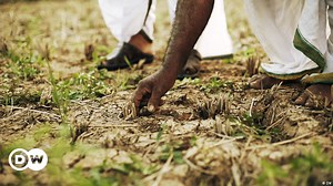 Equipping farmers to deal with drought