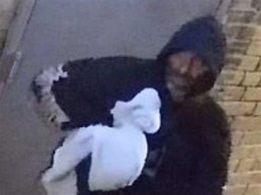 Firebug sought for series of downtown arsons