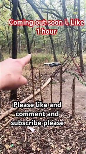 I’m doing a Tutorial(FORT IN THE WOODS)