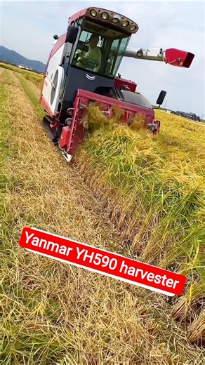 Yanmar YH590 harvester 💥 #shorts #combineharvester #agriculture