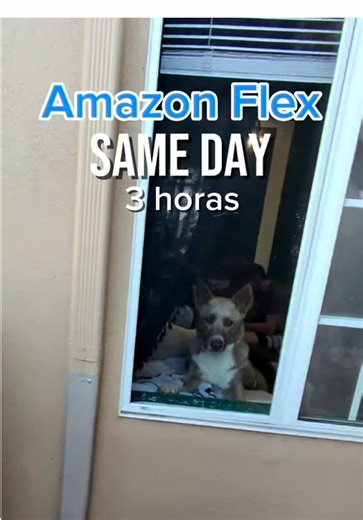 Anazon Flex, valio la pena ? Totalmente hoy 🤭😂 #amazonflexdriver #raybanmeta #amazonflextips #amazonfresh #sd