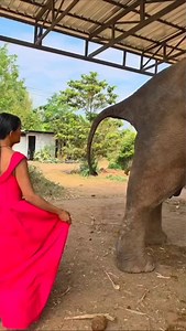 20K reactions · 29 comments | जो बच्चा पढ़ाई में कमजोर है उनके साथ आप...