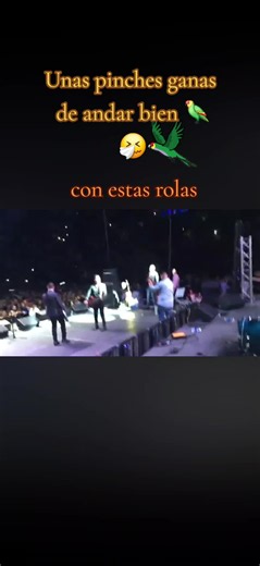 Corridos, los inquietos del norte andamos locos y entumecidos 🤧🦜, unas pinches ganas de andar bien 🦜🦜🍺🍺 #losinquietosdelnorte #loscosyentumecidos #corridos #desmadremexicano🍺🍺🦜 #
