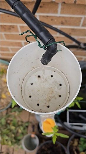 Week 1: Aeroponic Grow Tower Setup 🌱 | Weekly Progress Updates! #Aeroponics #GrowTower