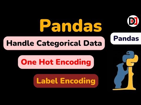 Handle Categorical Data in Pandas | Label Encoding & One Hot Encoding for Categorical Data Devduniya
