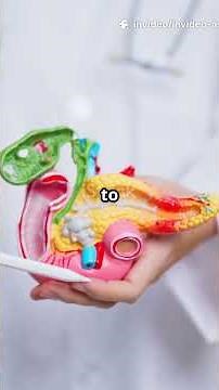Digestive Enzymes 🔬 How Your Body Breaks Food Into Nutrients!
