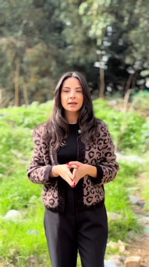 2025 Flashbacks: Embracing Recycling Trends