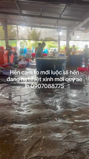 Video của Phát Hến (@pht.hn2) với bản nhạc nhạc nền - NguyễnDuy Official