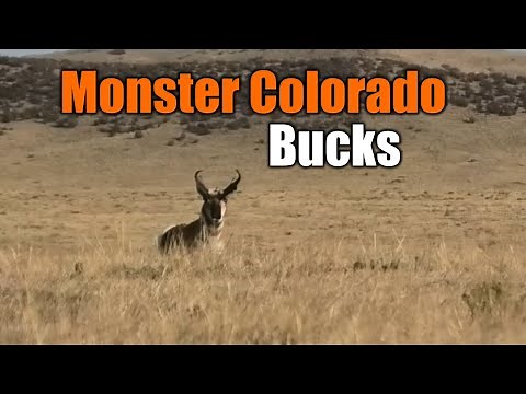 How To Hunt Antelope In Colorado | Mike Hunts |