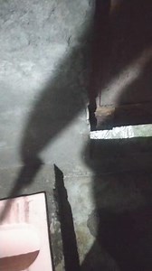 232K views · 611 reactions | Monika mam craft ideas #videos #short #exercisemotivation #craft #reelsinstagram #facebook #KitchenHack #reelsindia #game #craftideas #viralreelschallenge | Story Hindi Videos | Facebook