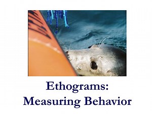 Ethograms: Measuring Behavior - SlideServe