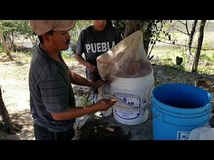 how to cook deer meat underground