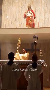 The Anima Christi is a traditional Catholic prayer that dates back to at least the 14th century. It is often attributed to St. Ignatius of Loyola because he included it in his Spiritual Exercises, though it predates him. The prayer is a deep invocation asking Christ for sanctification, purification, and union with Him. Below 👇 is the Anima Christi prayer 🙏🏾: Latin: Anima Christi, sanctifica me. Corpus Christi, salva me. Sanguis Christi, inebria me. Aqua lateris Christi, lava me. Passio Christ