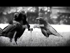 Saint Florin - Salam Tropez