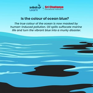 Infinity Learn on Reels