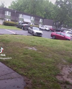 The Jail Report - RCSO GIVES DETAILS TO EXPLAIN VIRAL...