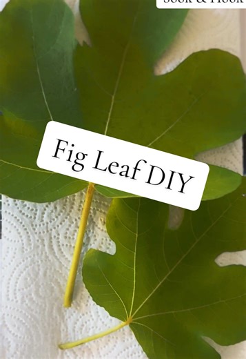 Fig Leaf DIY: Create Beautiful Holiday Decor
