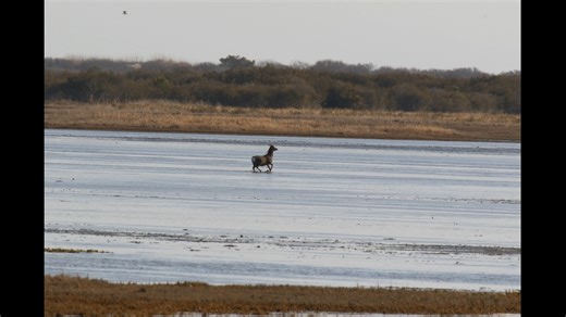NaP Sika | DSC Photography