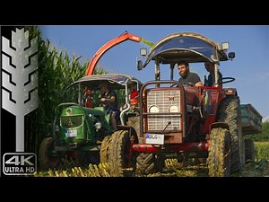 Oldtimer Häckseln | SOUNDORGIE!! | Oldtimer Traktoren in der Maisernte