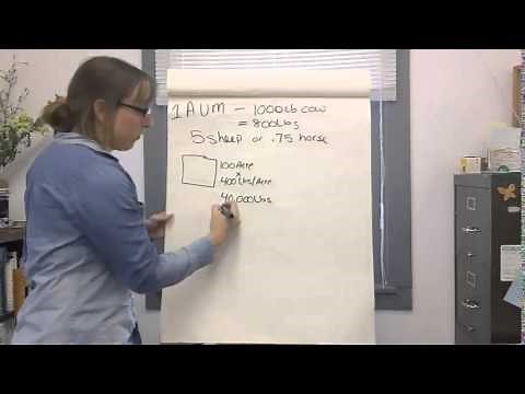 Figuring Your Stocking Rate | WYO RangeCast