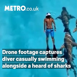 156K views · 505 reactions | Yes, this look nice, but rather him than us, to be honest 麗 | Metro | Facebook