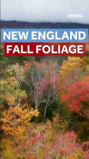 Tracking New England's fall foliage