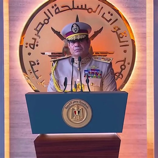 In Egypt the military is just not a defence institution but a strong political and economic actor. The military basically has a whole ass economic empire that controls construction/infra, roads, bridges, food production, hospitality industry etc…