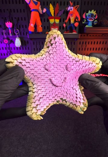 3D Printed Flexi Star Model for DIY Enthusiasts