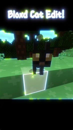 Bloxd Io Cat Edit! #bloxdio