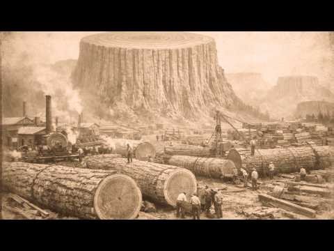 The Tallest Trees on Earth Were Cut Down Before You Were Born —The Stumps Are What We Call Mountains