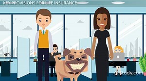 Important Life Insurance Policy Provisions