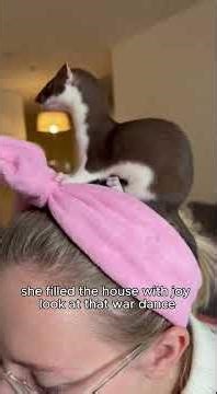 Rescuing a Tiny Baby Stoat: The Journey! 🐾 #rescue #animals #cute