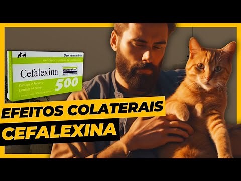 Cefalexina Para Gatos | Uso e Efeitos Colaterais